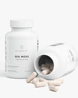 Sea Moss