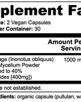Champignon Chaga