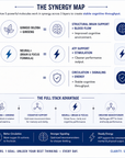 Cognitive & Performance Core System
