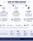 Cognitive & Performance Core System