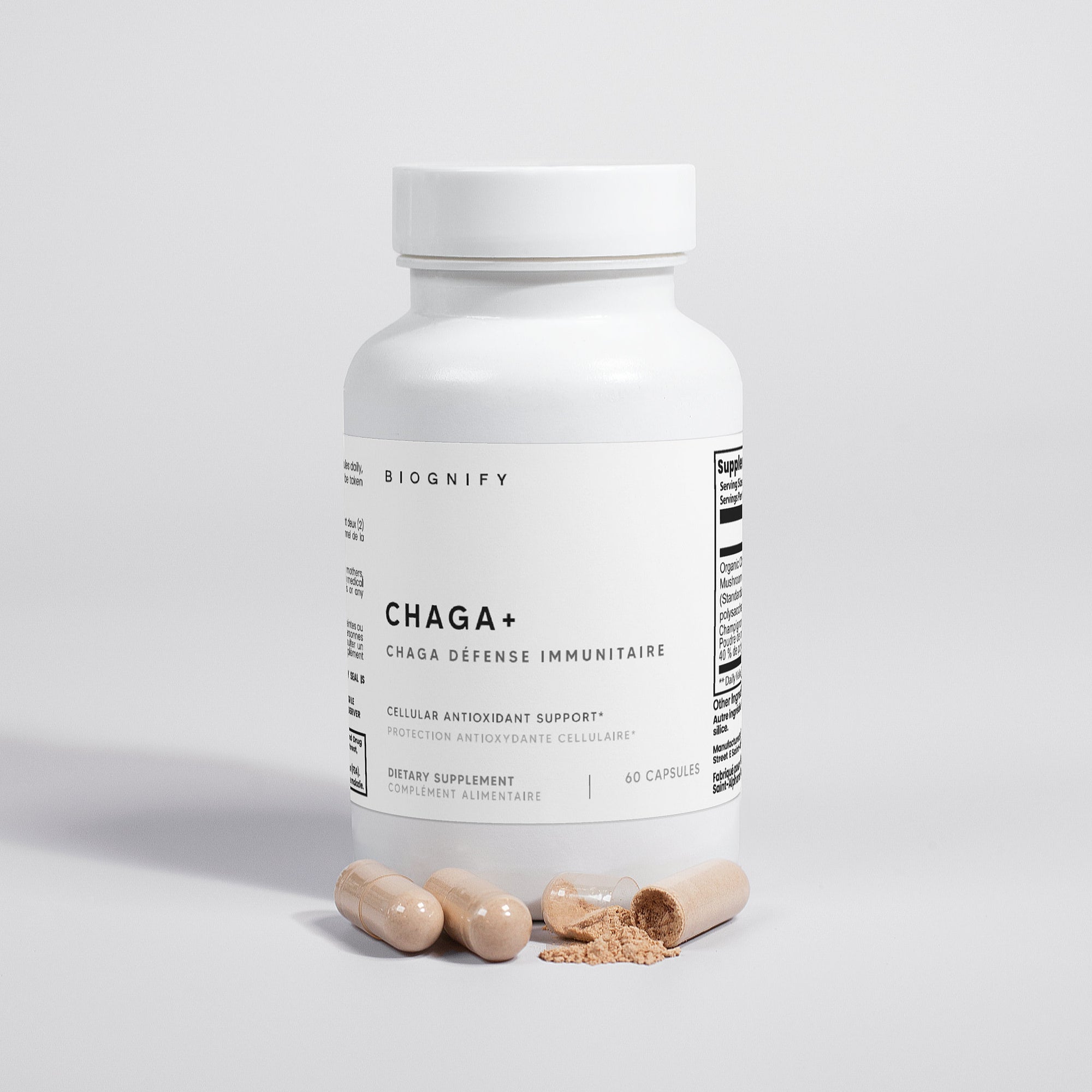 Champignon Chaga