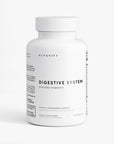 Gut Foundation System