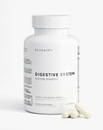 Système digestif