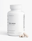 Mousse marine