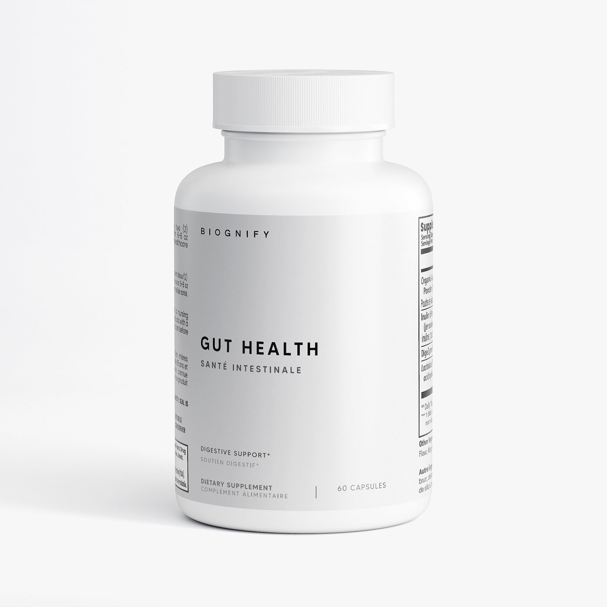 Gut Foundation System