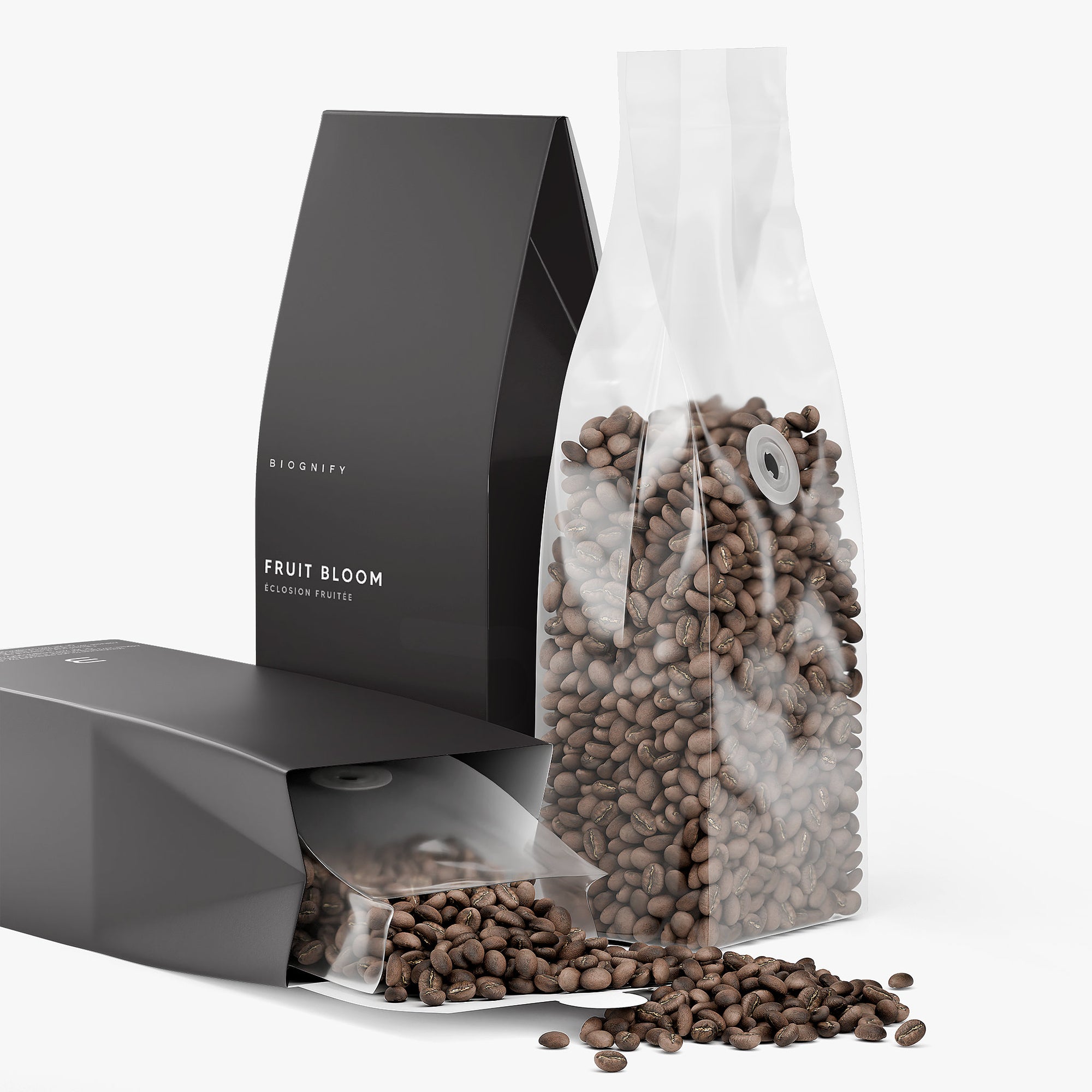 Café Fruité Bloom (torréfaction légère)