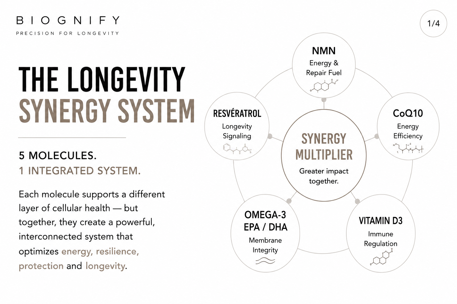 Longevity Core System
