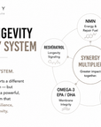 Longevity Core System