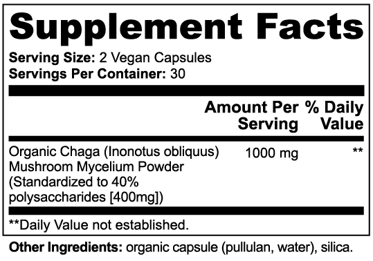 Champignon Chaga