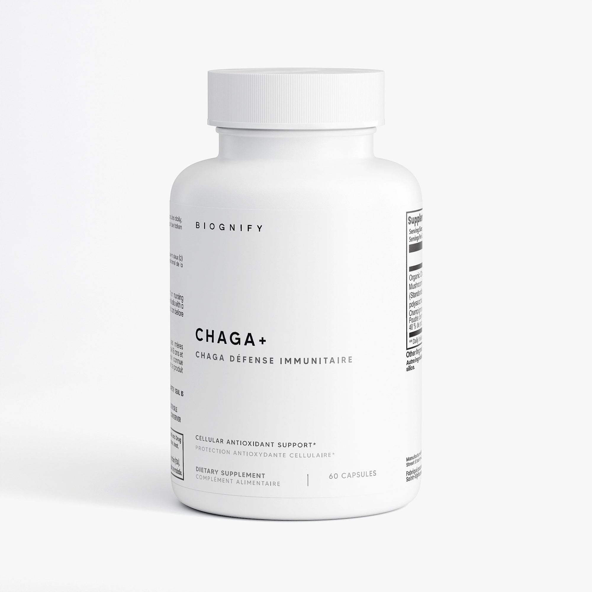 Champignon Chaga