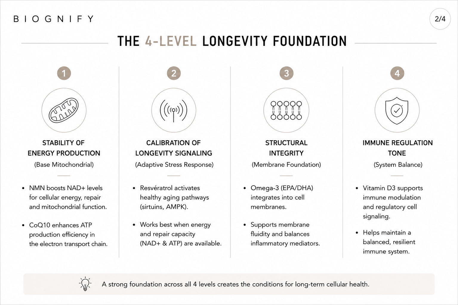 Longevity Core System