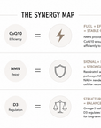 Longevity Core System