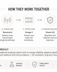 Longevity Core System