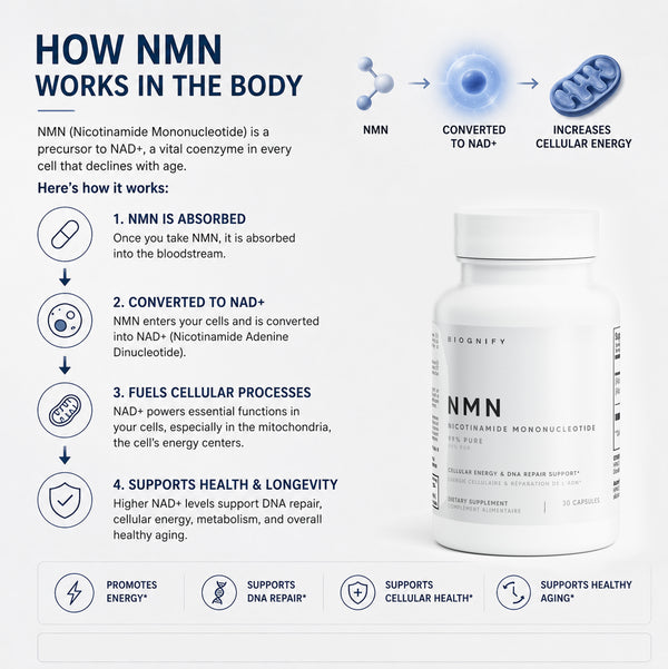 NMN