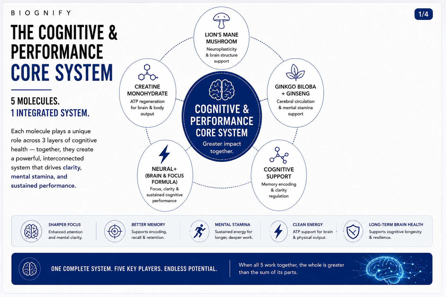 Cognitive &amp; Performance Core System