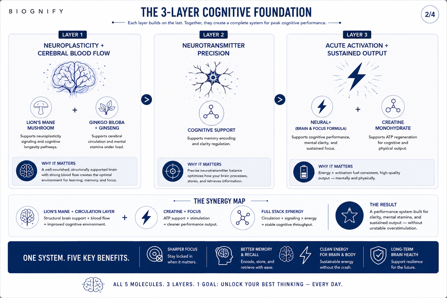 Cognitive &amp; Performance Core System