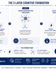 Cognitive & Performance Core System