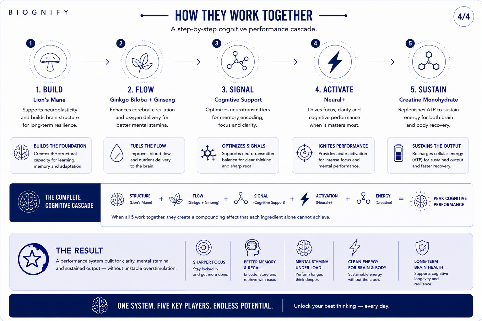 Cognitive &amp; Performance Core System