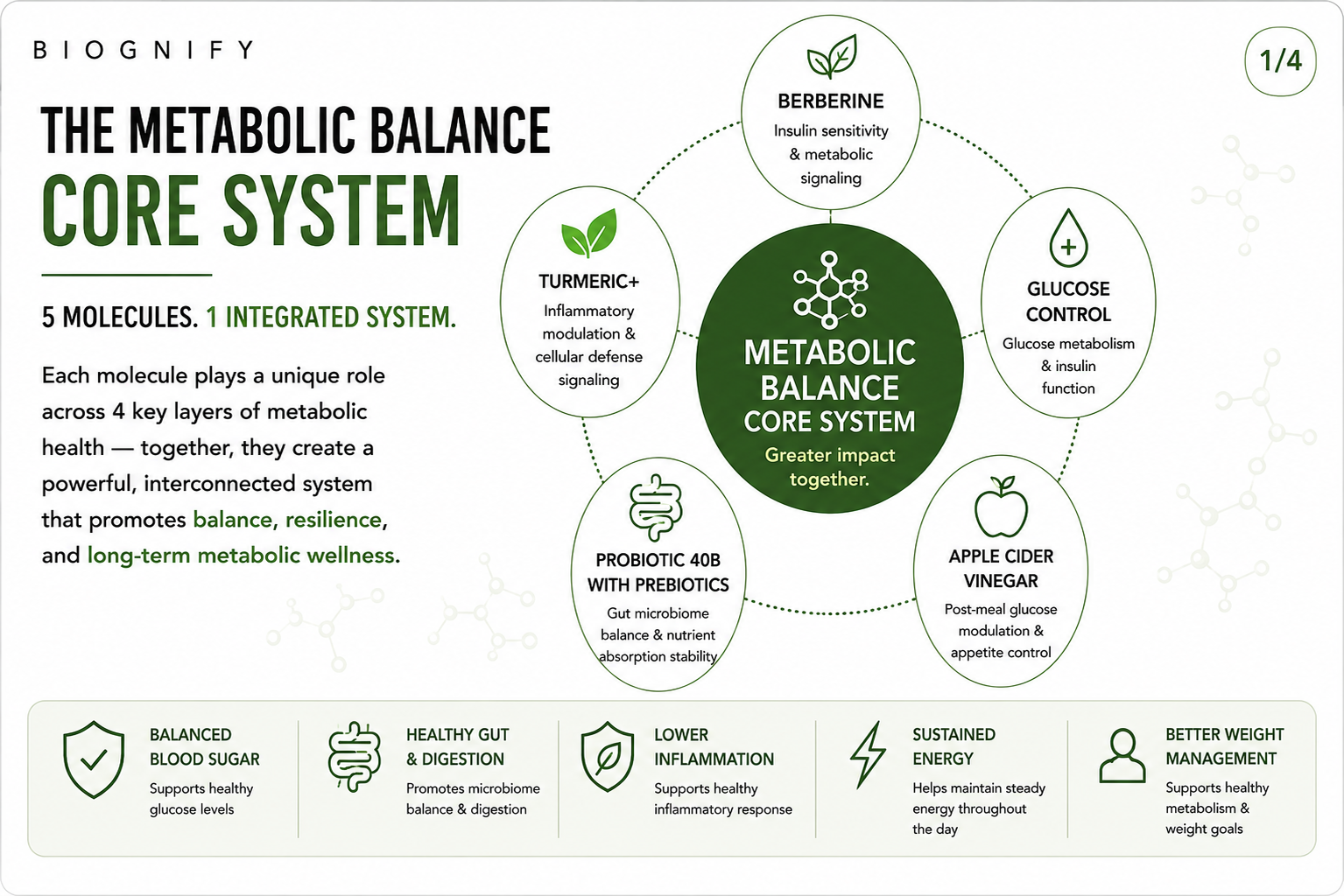 Metabolic Balance Core System