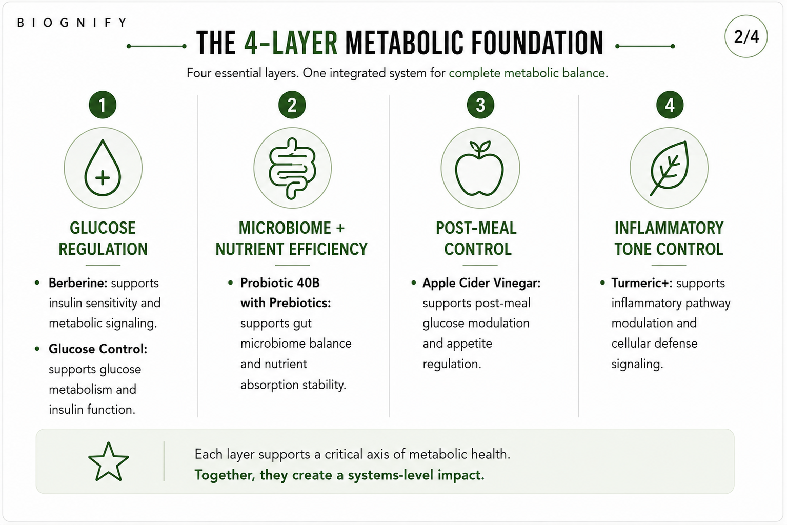 Metabolic Balance Core System