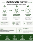 Metabolic Balance Core System