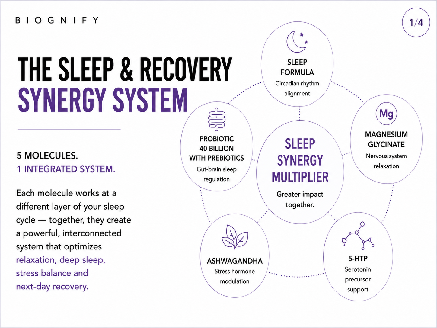 Sleep &amp; Recovery Core System